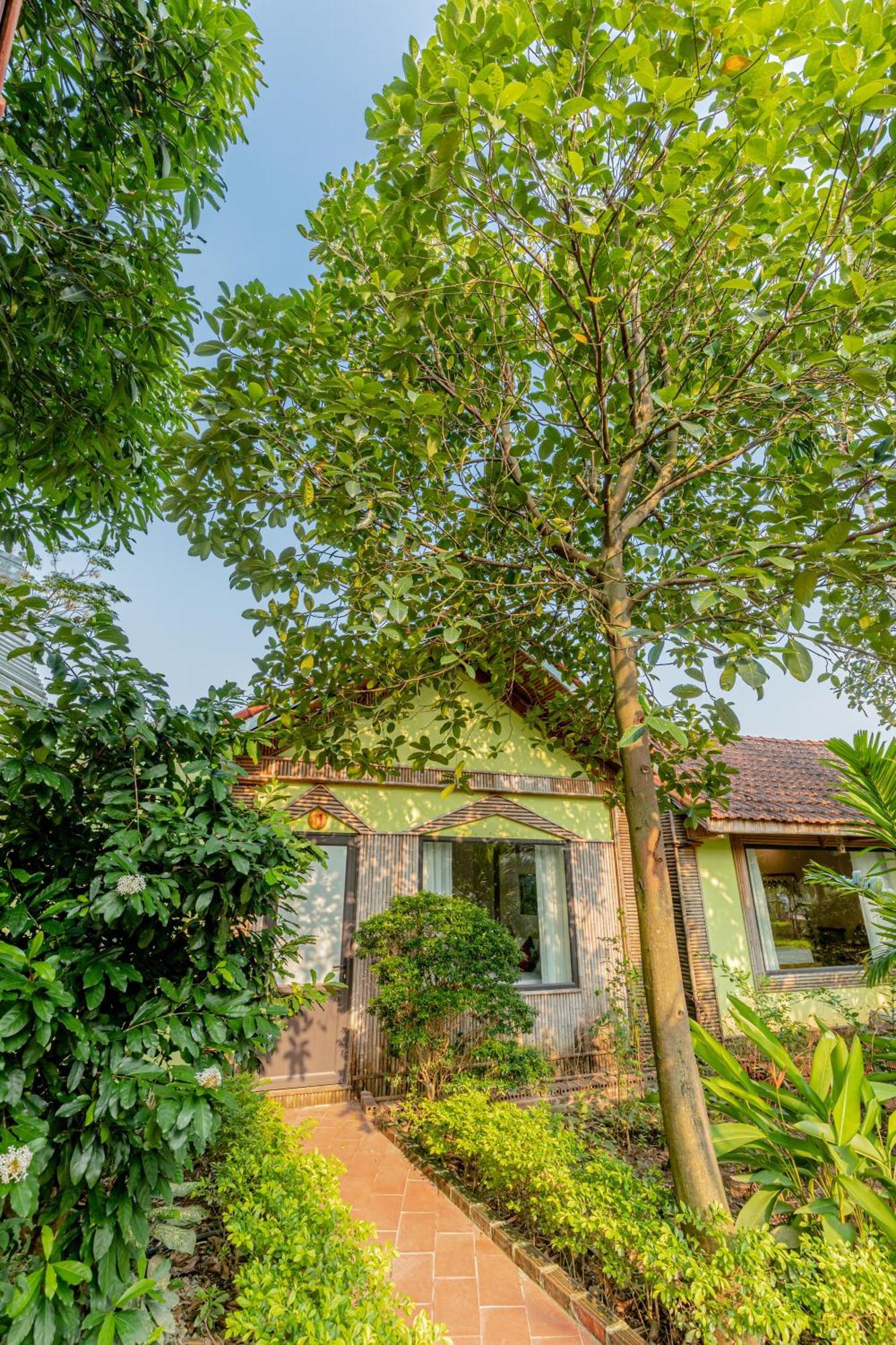 Tam Coc Green Garden Bungalow Ninh Binh Eksteriør billede