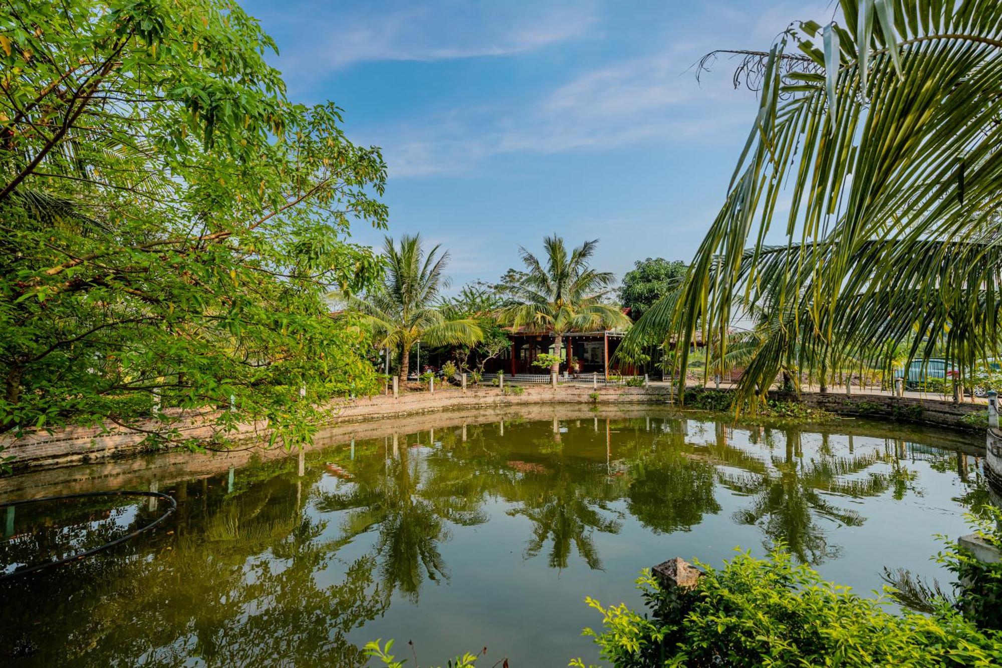 Tam Coc Green Garden Bungalow Ninh Binh Eksteriør billede