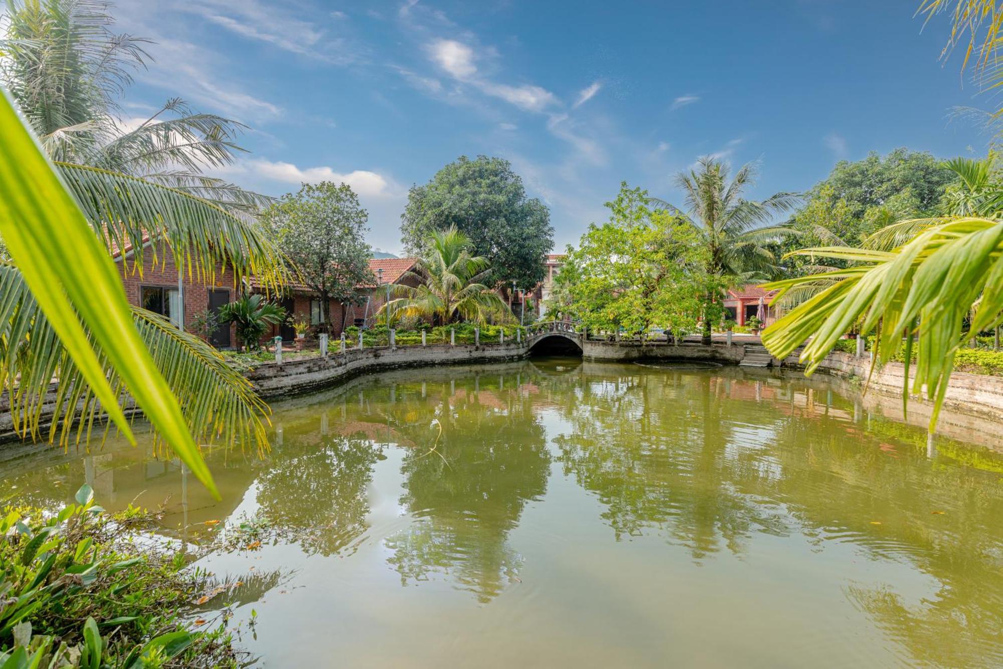 Tam Coc Green Garden Bungalow Ninh Binh Eksteriør billede