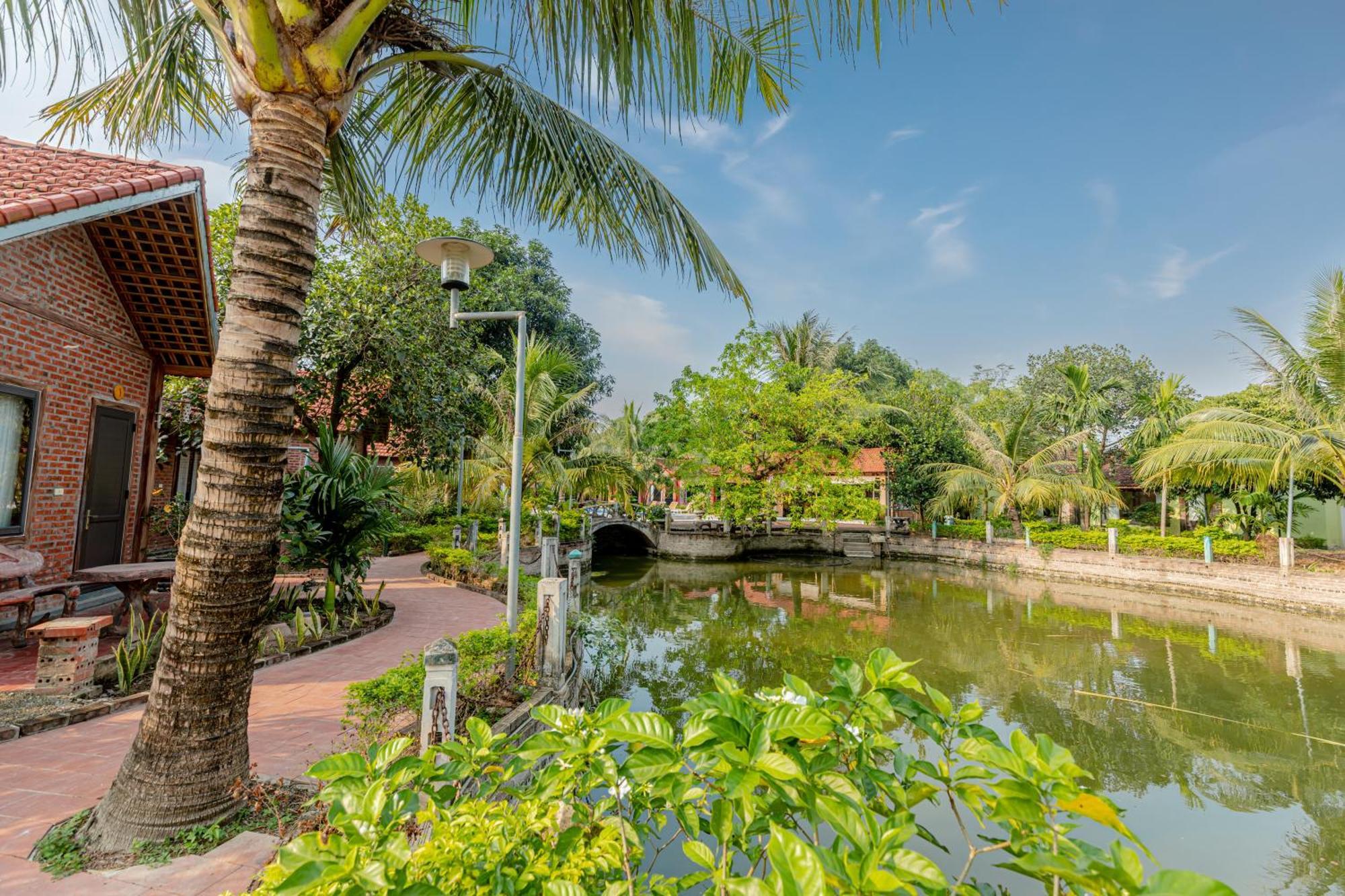 Tam Coc Green Garden Bungalow Ninh Binh Eksteriør billede